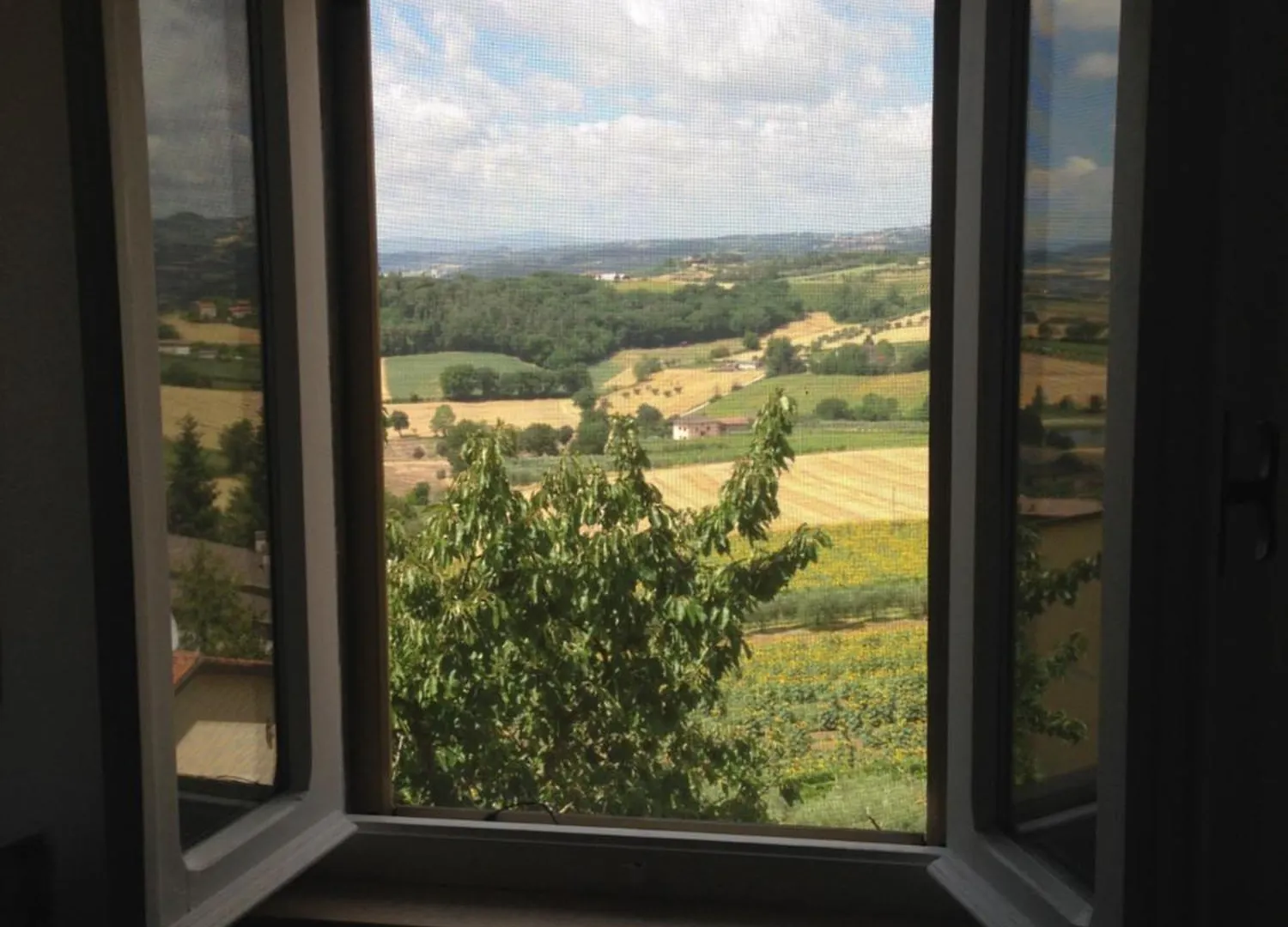 Bed & Breakfast Bed and Breakfast La terrazza fio...Rita Ripa