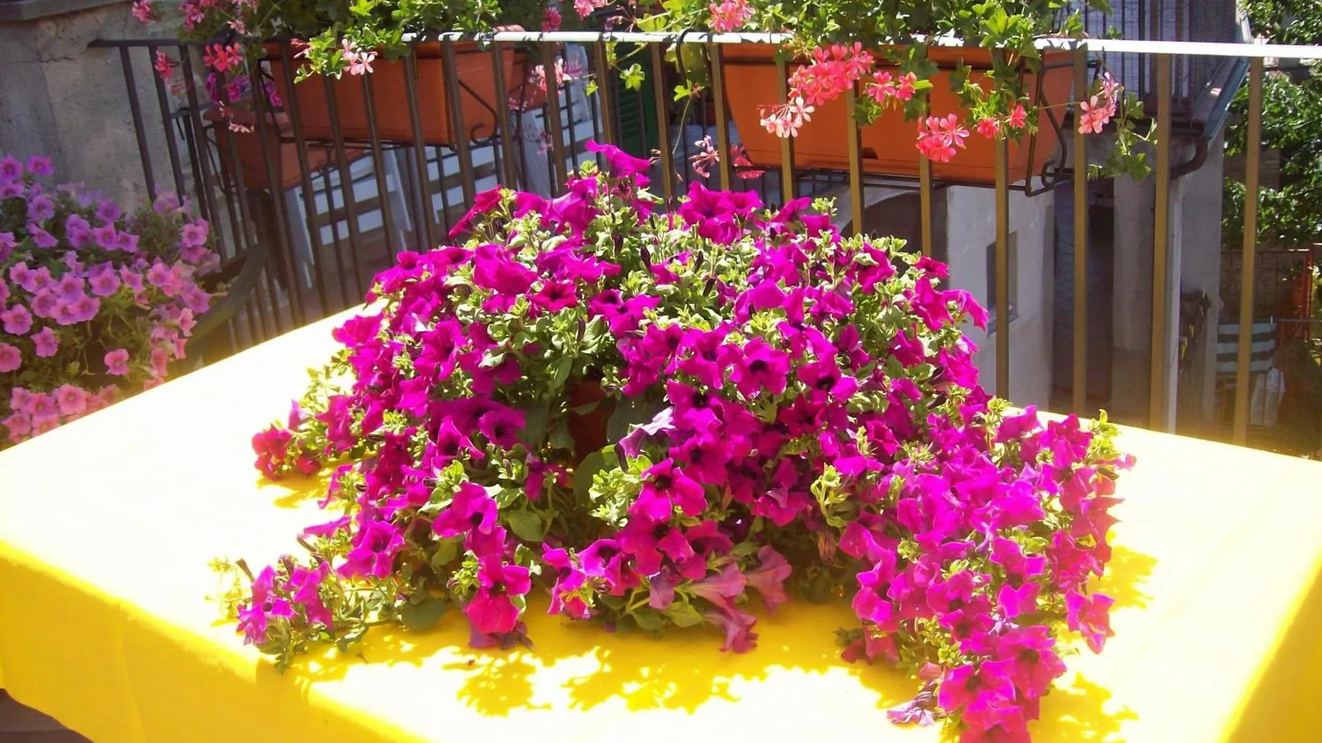 Bed & Breakfast Bed and Breakfast La terrazza fio...Rita Ripa